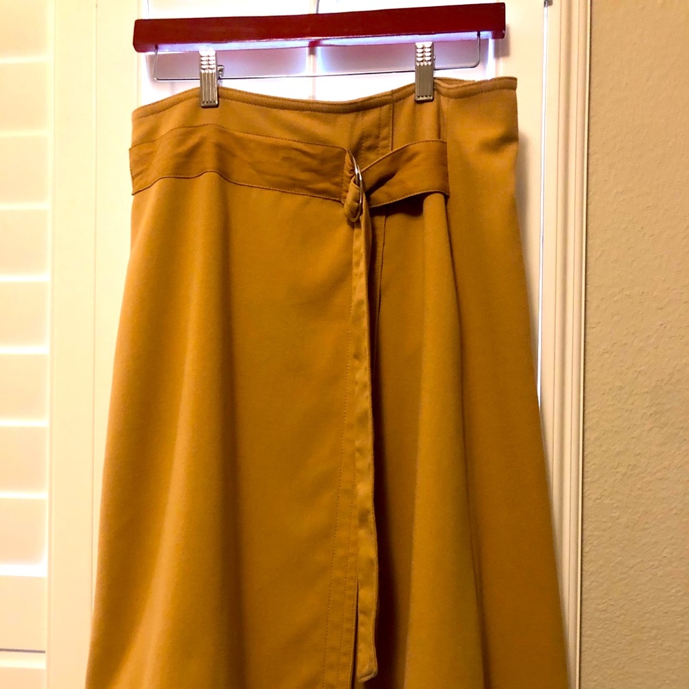 Ann Taylor Skirt